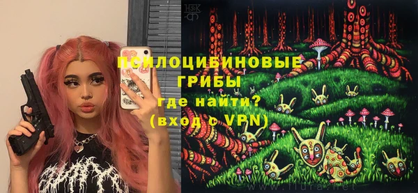 ГАЛЛЮЦИНОГЕННЫЕ ГРИБЫ Няндома