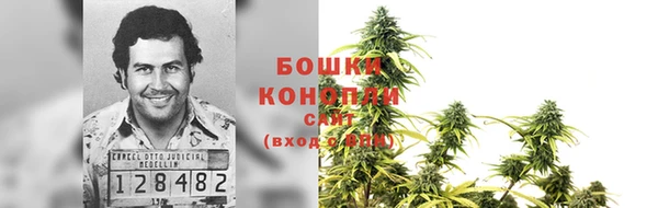 ГАЛЛЮЦИНОГЕННЫЕ ГРИБЫ Няндома