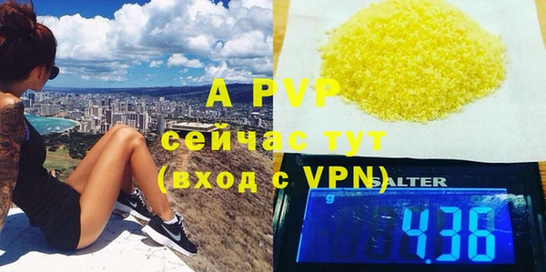 ГАЛЛЮЦИНОГЕННЫЕ ГРИБЫ Няндома