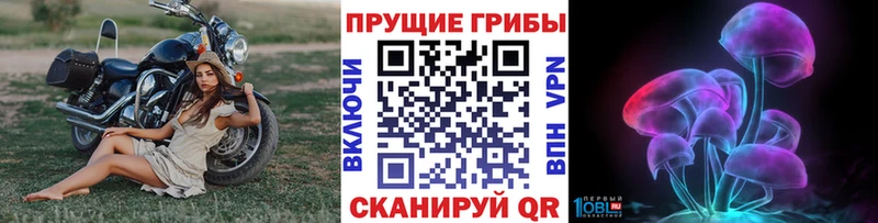 даркнет сайт  Светогорск  Псилоцибиновые грибы прущие грибы 